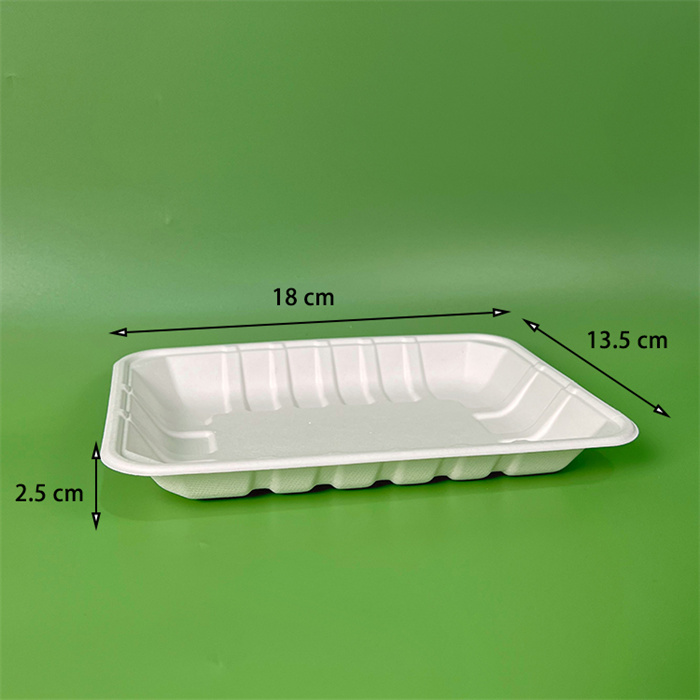 biodegradable / Sugarcane plate from disposablesInc.com. The best import service in China. Import your disposable items and products from us. DisposablesInc.com. The best import service in China. Import your disposable items and products from us.